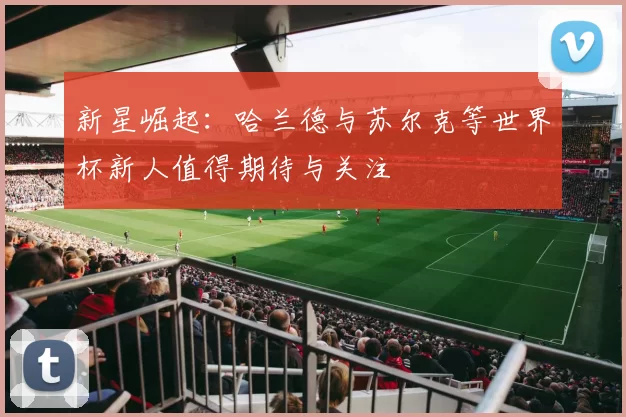 新星崛起：哈兰德与苏尔克等世界杯新人值得期待与关注