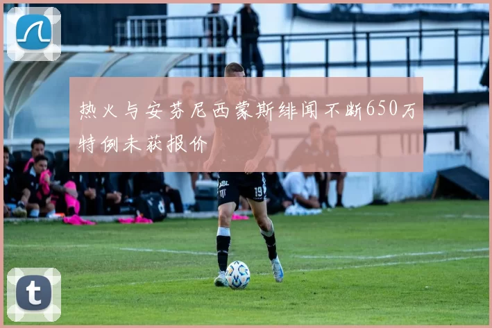 热火与安芬尼西蒙斯绯闻不断650万特例未获报价